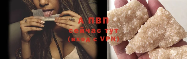 спиды Кодинск