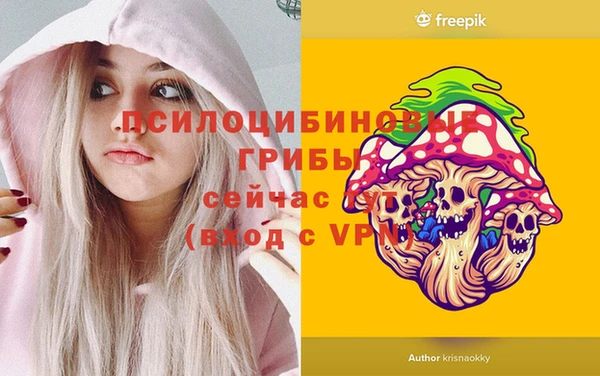 стаф Кинешма