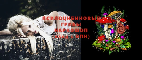 спиды Козловка