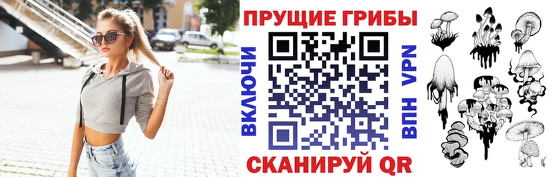Купить где  Арск  Псилоцибиновые грибы мицелий 